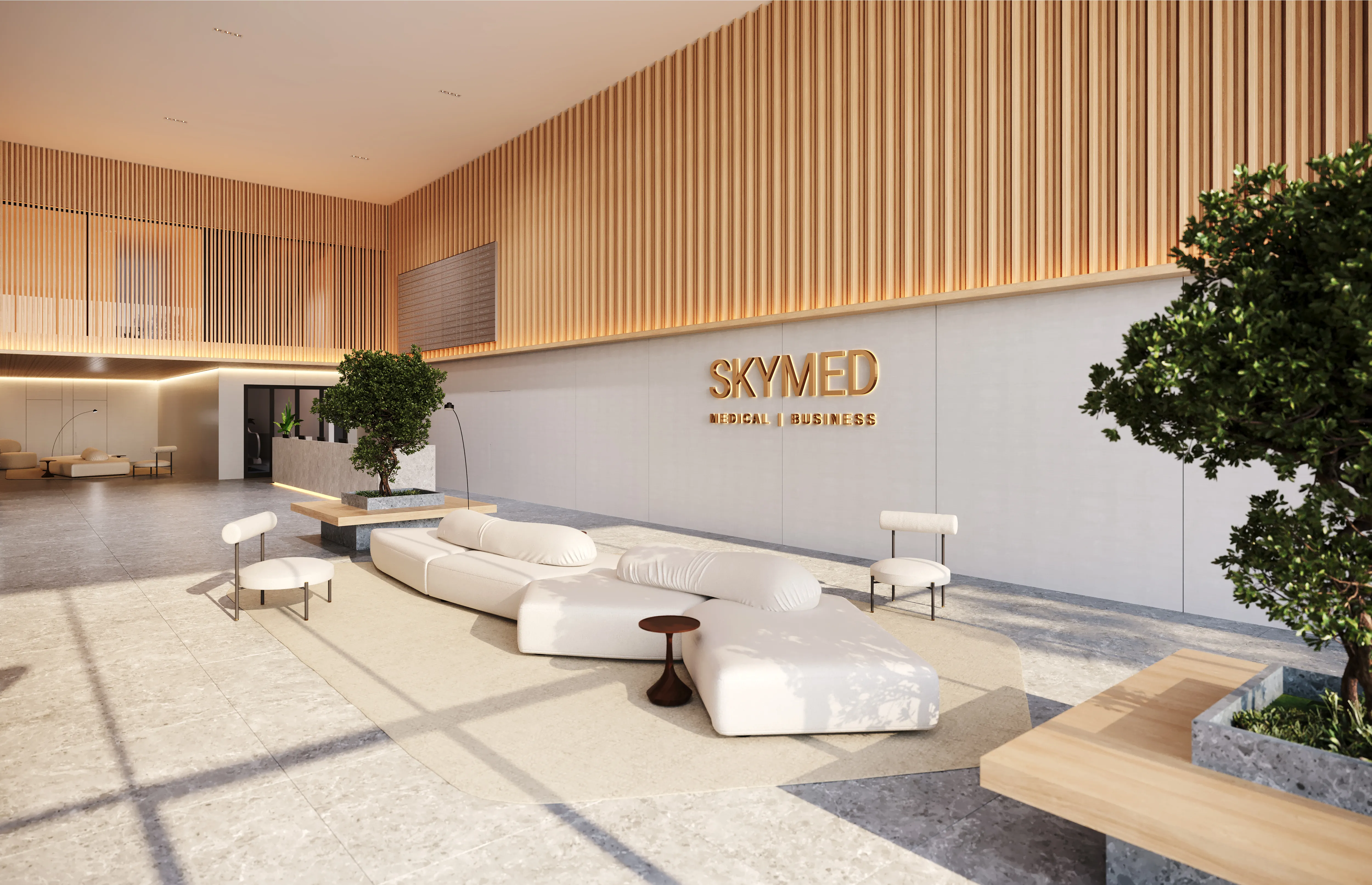 SKYMED - Imagem 4